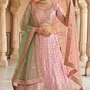 Blush Pink Royal Embroidered Lehenga Set
