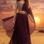 Wine Elegance Indo-Western Draped Set