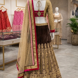 Mocha brown lehenga with gold embroidery and pink border, back view on display