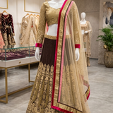 Mocha brown lehenga with gold embroidery and pink border, front view on display