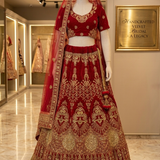 Red velvet bridal lehenga with gold embroidery, front view on display